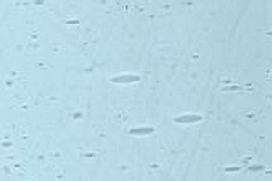 Echt-Antikglas pc120 - EA-1295xx blau