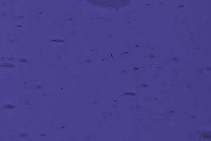 Echt-Antikglas pc140 - EA-1302 F violettblau