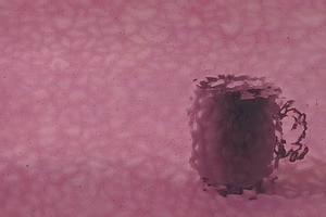 WISSMACH Aem - 134, English Muffle, mittel Amethyst