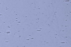 Echt-Antikglas pc120 - EA-1498xx violettblau