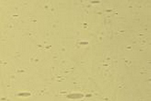 Echt-Antikglas pc120 - EA-245xx gelbgr�n