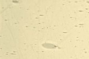 Echt-Antikglas pc120 - EA-2643xx gelbgr�n
