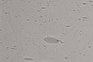 Echt-Antikglas pc120 - EA-2807xx grau