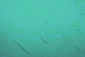 Antikglas-mundgeblasen B - AM-3141, t�rkis