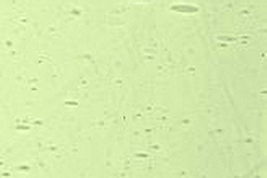 Echt-Antikglas pc120 - EA-3614xx gelbgr�n