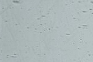 Echt-Antikglas pc120 - EA-443xx grau