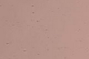 Echt-Antikglas pc230 - EA-4540 U opalis auf rotviolett