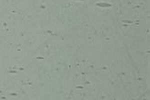 Echt-Antikglas pc120 - EA-463xx grau
