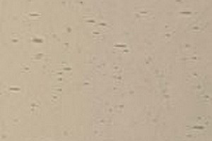 Echt-Antikglas pc120 - EA-471xx grau