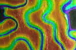 Dichroic-D�nnglas - schwarz, orange / gr�n mit Struktur - ca 1mm (BBB5022-1) AK 90