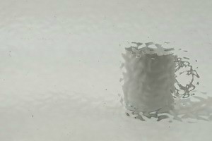 WISSMACH Gem - 555, English Muffle, grau