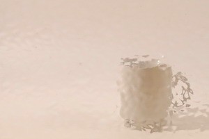 WISSMACH Gem - 568, English Muffle, champagner