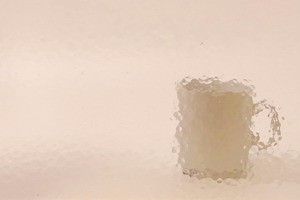 WISSMACH G - 568, Corella Classic, champagner