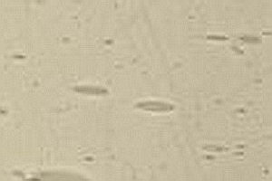 Echt-Antikglas pc120 - EA-569xx grau