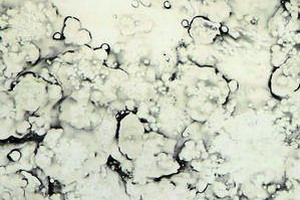 Antik-Spiegel C Urano
