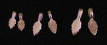 Aufh�nger, gross - mit 18K-Gold vergoldet -#-8300-010 / 25