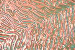 Dichroic-Glas - klar, rippelig - orange/blau - (BFC430-3) AK 85 ( COE 85 )