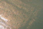 Dichroicglas - klar, - orange / blau, Helix-Muster - (BFC504-3) AK 85
