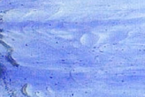 Colorescentglas blau und klar - A-0042 Armstrong