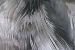 Hellgraues Spectrum Baroqueglas