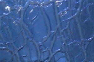 Craquele-Antikglas-mundgeblasen - Kobaltblau (#-12 )