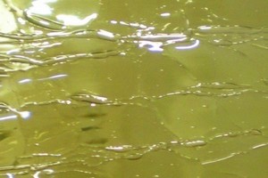 Craquele-Antikglas-mundgeblasen - Ocker-Rauch (#-06 )
