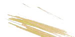 Stringers - Glasstengel in champagner pink - transp. - ( BF074-70 ) - AK ca 85