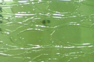 Craquele-Antikglas-mundgeblasen - Gr�n (#-08 )
