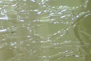 Craquele-Antikglas-mundgeblasen - Oliv (#-05 )