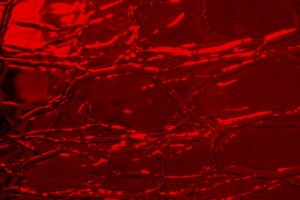 Craquele-Antikglas-mundgeblasen - rot (#-180)