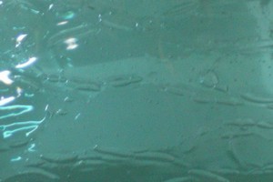 Craquele-Antikglas-mundgeblasen - T�rkis (#-10 )