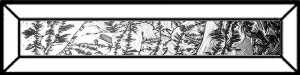 Eisblume-Bevel 2x8 = ca 5cm x 20cm #-131 08