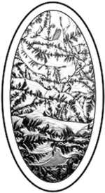 Eisblumen-Bevel, oval 6x11 = ca 15,2cm x 28cm #-220 11 BRv3
