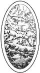 Eisblumen-Bevel, oval 6x11 = ca 15,2cm x 28cm #-220 11 BRv3