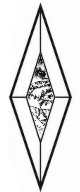 Eisblumen-Bevel, Raute 2x6 = ca 5cm x 15cm #-279 20