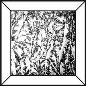 Eisblumenbevel 8x8 = ca 20cm x 20cm