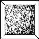 Eisblumenbevel 8x8 = ca 20cm x 20cm