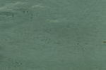 Deco-Float Fusingglas - hellgrau ca 2mm ( F47) - AK ca 85