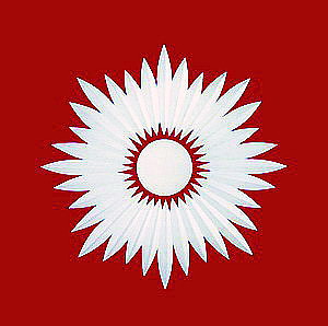 Friesecke Blitz, rotes �berfangglas 12cm