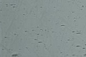 Echt-Antikglas pc120 - EA-pg120-23xx grau KD