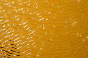 Ornamentglas, Rippelglas fein, dunkelgelb ( W 48 SX )