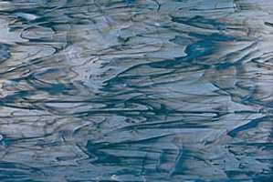 SPECTRUM D - 838-94, Opalescentglas, stahlgraublau, sehr wenig wei�, Fusing AK96