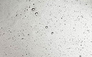 Seedy-Glas - klares Glas mit Blasen 01 Seedy