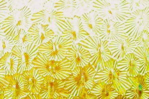 Ornamentglas SK05.56 - Sternchen, gelb ( edelgelb ) TS