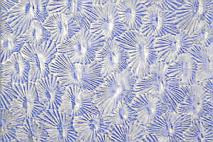 Ornamentglas SK10.65 - Sternchen, hellblau (helles kobaltblau) TS