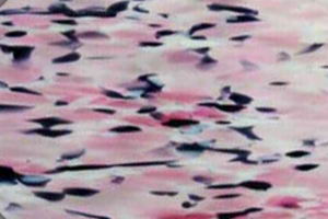 SPECTRUM F Spirit elfenbein, pink, schwarz auf klar ( S-4941SF) Fusing AK96 ***