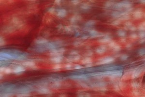 Jugendstilglas - W-710WOM - burgunderrot mit Wolken in hellblau u. opal