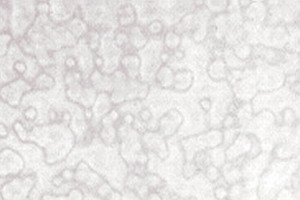 Uroboros Ring Mottle Art Glass E - wei� - U-00-05